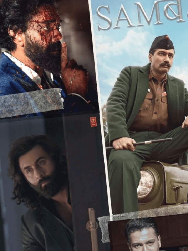 Animal Vs Sam Bahadur Box Office Collection