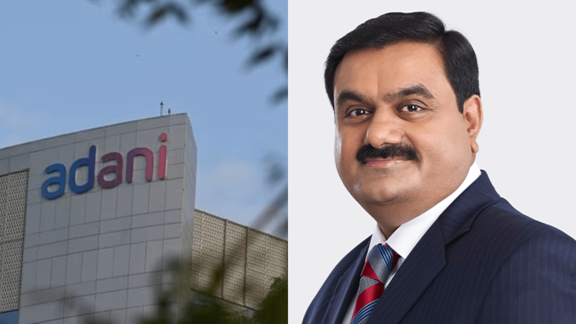 Adani Hindenburg Case Verdict Live Updates - The Chandigarh News