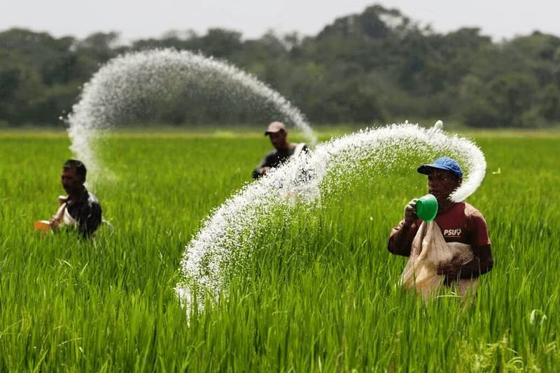 Fertilizer subsidy 2024 : कैबिनेट ने 2024 ख़रीफ़ सीज़न के लिए ₹24,420 करोड़ की उर्वरक सब्सिडी को मंजूरी दी
