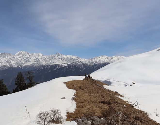 Dayara Bugyal Trek: Alpine MeadowBliss Expedition