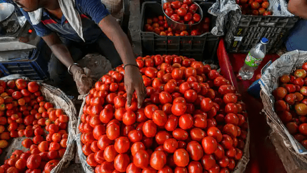 Tomato Prices Soar to ₹100/kg in Delhi, ₹74/kg Nationally Due to Rain-Affected Supply