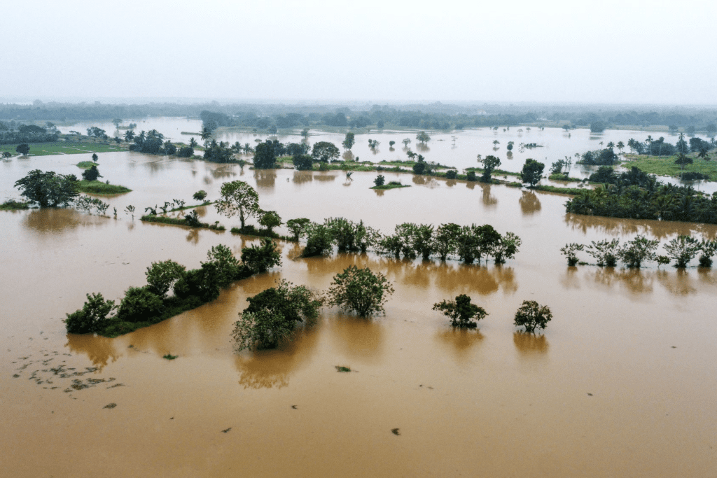 Cyclone Fengal LIVE Updates: Chennai Airport Cancels Flights, Tamil Nadu Braces for Impact