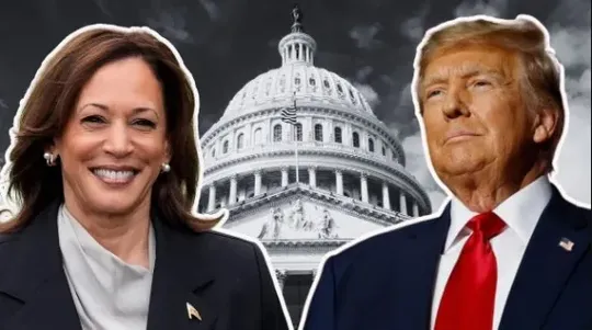 US Presidential Election: The Swing States Holding the Fate of Kamala Harris and Donald Trump