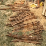 Historical Weapons Unearthed in Dhakia Tiwari: Discovery of 21 Swords, 13 Guns, Daggers, and Spears Sparks Demand for Research