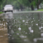 Weather Update Today: Heavy Rainfall Predicted in Chandigarh,Delhi-NCR, UP