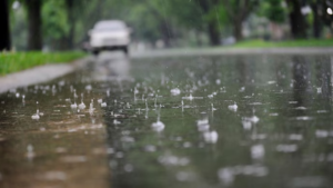 Weather Update Today: Heavy Rainfall Predicted in Chandigarh,Delhi-NCR, UP