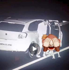 Who is Manohar Dhakad? Viral ‘Sex Video’ on Highway Sparks Political Storm in Madhya Pradesh