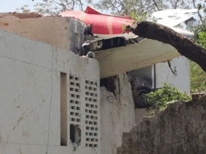Air India Flight AI-171 Crash: Arjun Patolia Dies After Wife’s Last Rites