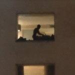 Jaipur Holiday Inn Sex Viral Video: Couple’s Private Moment Filmed from Street