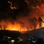 Dharamsala Forest Fire News: Massive Forest Fire Near Paragliding Site in Dharamsala Raises Environmental Alarms