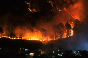Dharamsala Forest Fire News: Massive Forest Fire Near Paragliding Site in Dharamsala Raises Environmental Alarms