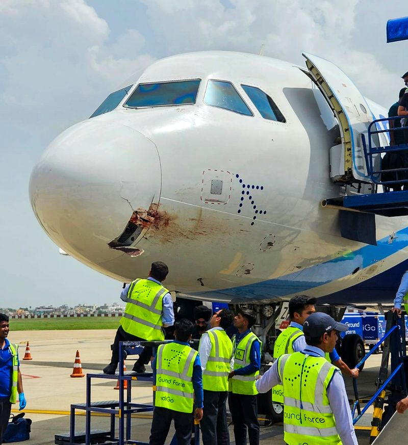 Ranchi-Bound IndiGo Flight Makes Emergency Landing After Vulture Strike