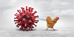 Gorakhpur Bird Flu Update: Virus Confirmed in Five Areas