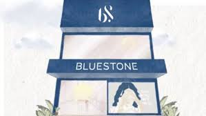 BlueStone Jewellery IPO Day 1: GMP, Subscription Status, Review, and Key Details — Good or Bad for Investors?
