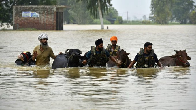 Union Minister Shivraj Singh Chouhan to Visit Flood-Hit Punjab