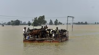 Chandigarh Weather Update: IMD Warns of Heavy Rain, Tricity Faces Waterlogging