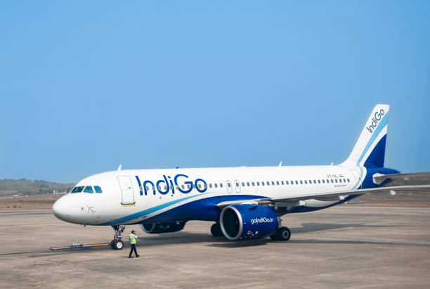 IndiGo Flight Makes Emergency Landing in Varanasi After Bird Strike