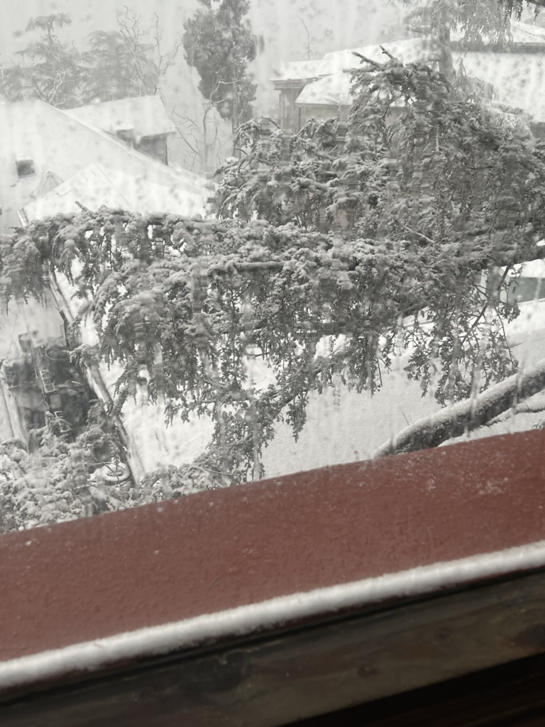 Snowfall in Himachal & J&K, Rain in Punjab-Haryana Deepen Winter Chill Across North India