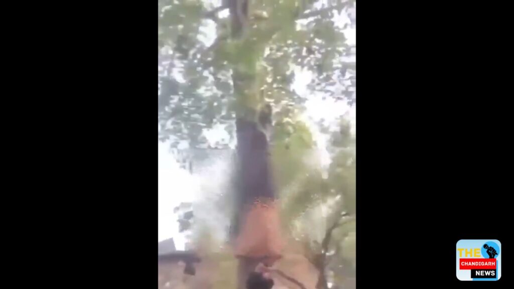 Mob Violence in Buxar: Youth Tied Upside Down to Tree, Brutally Beaten by Villagers Over Theft Suspicion