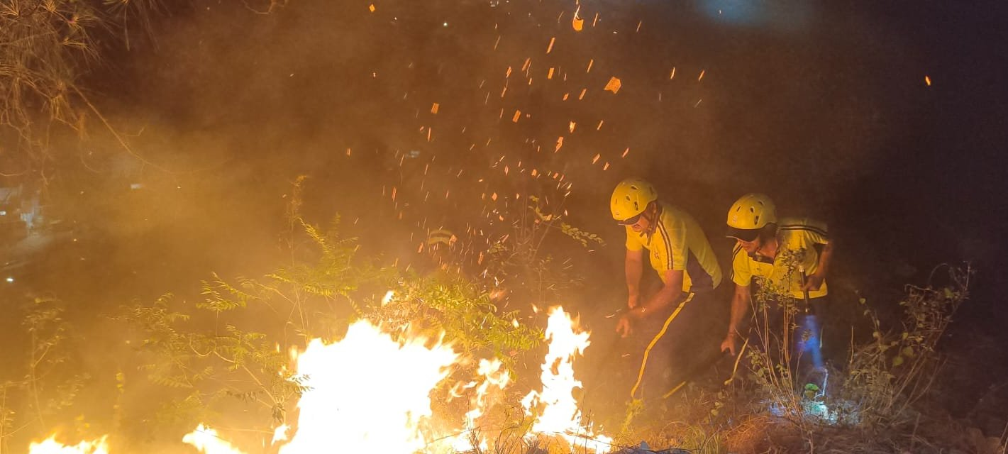 Uttarakhand Forest Fire Near Basugaon Brought Under Control in Swift ...